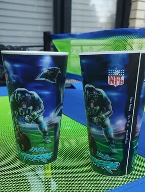 Carolina Panthers NFL Double Plastic Stadium Cups - Blue & Green